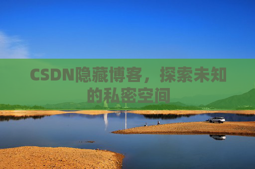 CSDN隐藏博客，探索未知的私密空间
